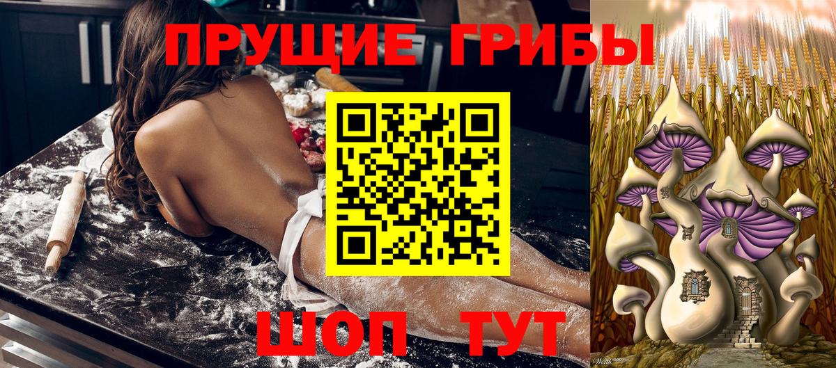 Псилоцибиновые грибы Psilocybine cubensis  Вход с VPN  Балашиха 